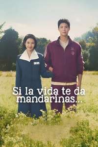 When Life Gives You Tangerines - Posters