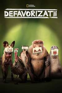 Underdogs - Posters