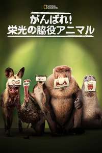 Underdogs - Posters