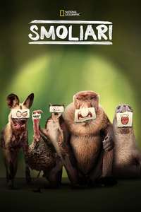 Underdogs - Posters