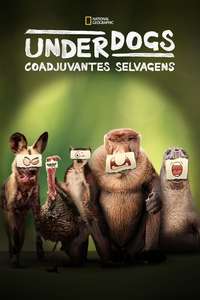 Underdogs - Posters