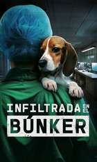 Undercover. Inside the bunker