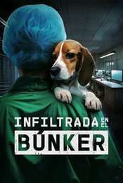 Undercover. Inside the bunker