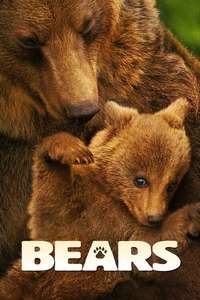 The Bear - Posters
