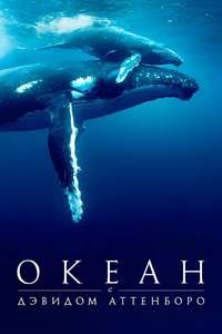 Ocean with David Attenborough - Posters