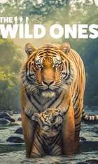 The Wild Ones