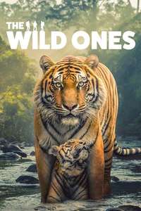 The Wild Ones - Posters