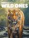 The Wild Ones : Season 1