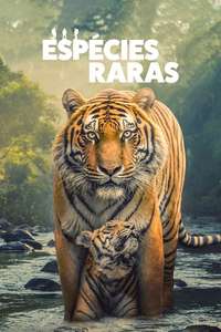 The Wild Ones - Posters