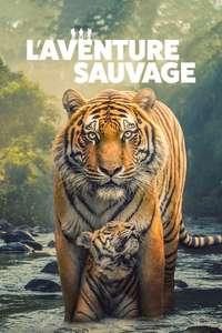 The Wild Ones - Posters