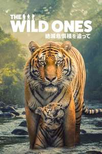 The Wild Ones - Posters