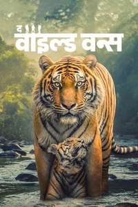 The Wild Ones - Posters