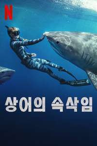 Shark Whisperer - Posters