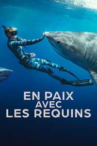 Shark Whisperer - Posters