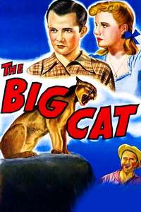 The Big Cat - Posters