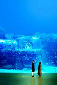 The Legend of the Blue Sea - Posters
