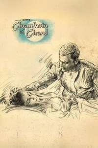 Chaudhvin Ka Chand - Posters