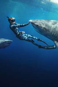 Shark Whisperer - Posters