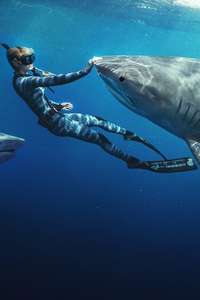 Shark Whisperer - Posters