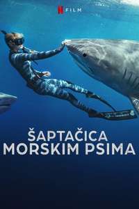 Shark Whisperer - Posters
