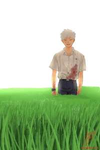The Summer Hikaru Died - Posters