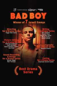 Bad Boy - Posters