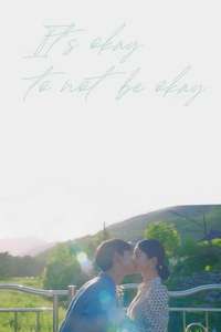 It's Okay to Not Be Okay - Posters