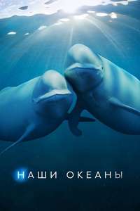 Our Oceans - Posters