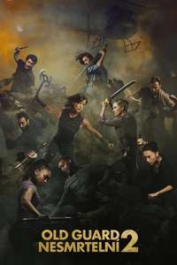 The Old Guard 2 - Posters