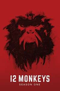 12 Monkeys - Posters