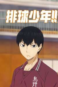 Haikyu!! - Posters