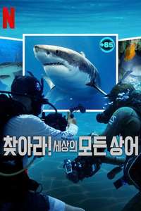 All the Sharks - Posters