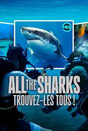 All the Sharks