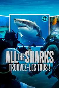 All the Sharks - Posters