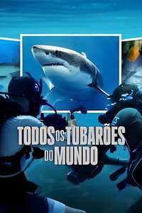 All the Sharks - Posters