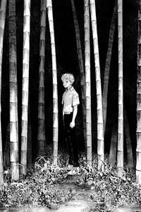 The Summer Hikaru Died - Posters