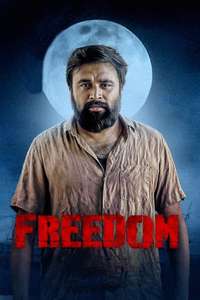 Freedom - Posters