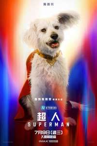 Superman - Posters