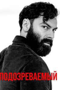 The Suspect - Posters