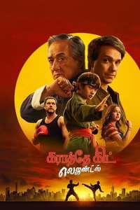 Karate Kid: Legends - Posters