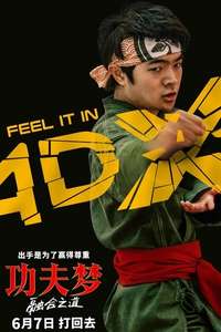 Karate Kid: Legends - Posters