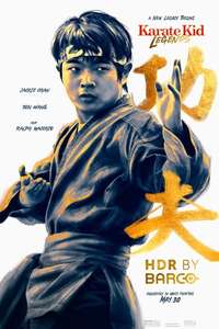 Karate Kid: Legends - Posters
