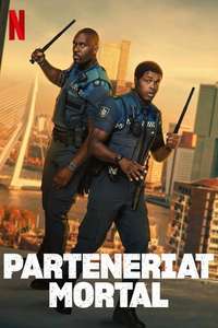 Almost Cops - Posters
