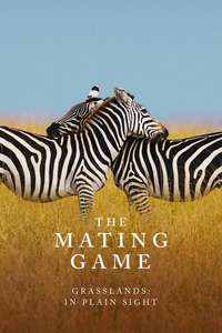 The Mating Game - Posters