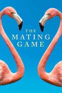 The Mating Game - Posters