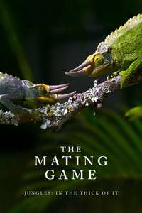 The Mating Game - Posters