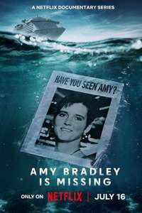 Amy Bradley Is Missing - Posters