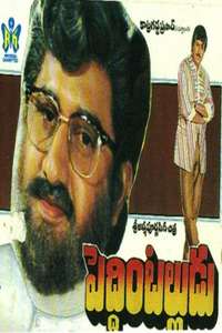 Peddinti Alludu - Posters