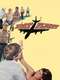 Lost Flight