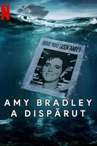 Amy Bradley Is Missing - Posters